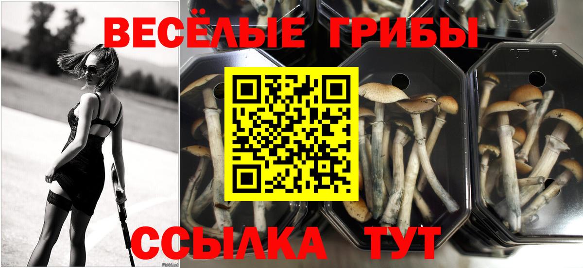 Галлюциногенные грибы мицелий  Вход с VPN  закладки  Лосино-Петровский 