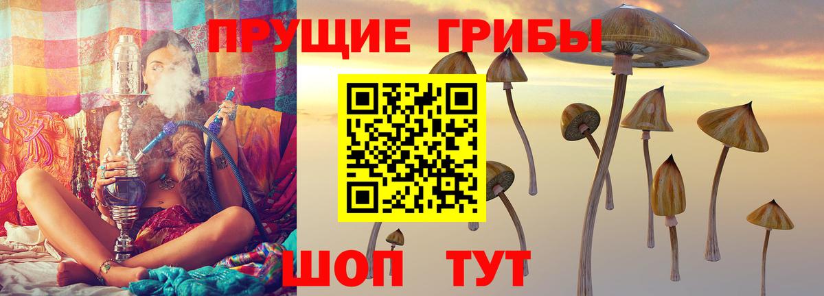 Псилоцибиновые грибы MAGIC MUSHROOMS Лосино-Петровский